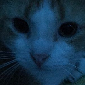 Meet your Posher, Paul